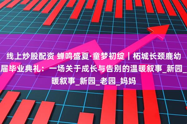 线上炒股配资 蝉鸣盛夏·童梦初绽｜柘城长颈鹿幼儿园2025届毕业典礼：一场关于成长与告别的温暖叙事_新园_老园_妈妈