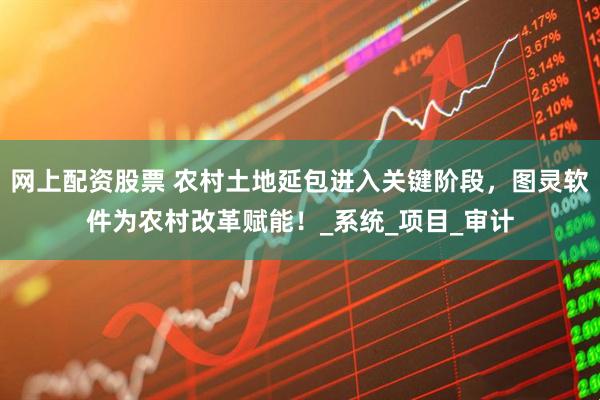 网上配资股票 农村土地延包进入关键阶段，图灵软件为农村改革赋能！_系统_项目_审计