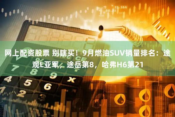 网上配资股票 别瞎买！9月燃油SUV销量排名：途观L亚军，途岳第8，哈弗H6第21