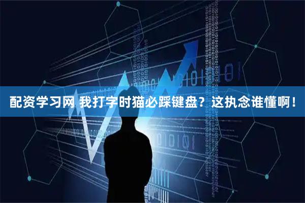 配资学习网 我打字时猫必踩键盘？这执念谁懂啊！